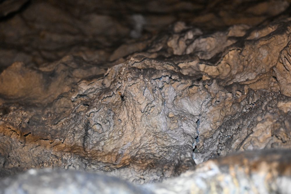 Plavecká jaskyňa je najstaršia sprístupnená jaskyňa na Slovensku