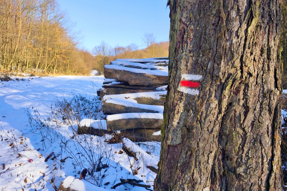 Útulňa Jozefa Maka v Malých Karpatoch 