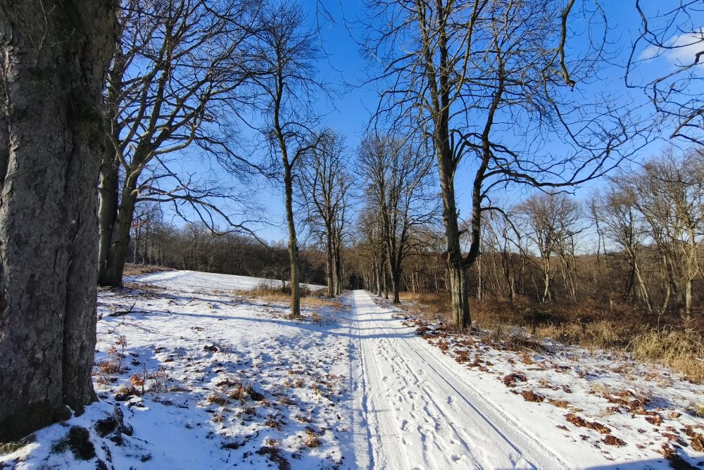 Útulňa Jozefa Maka v Malých Karpatoch 