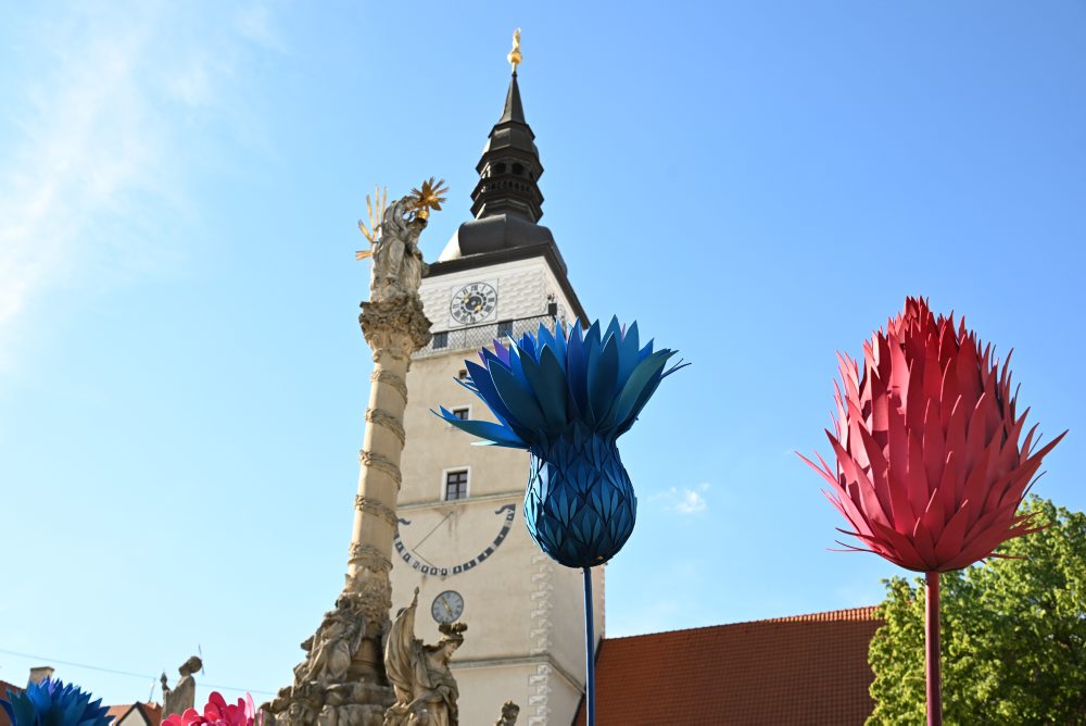 Kvetinový trh s názvom Májový kvet v Trnave