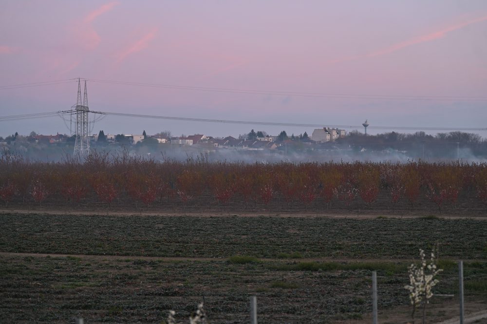 Zadymovanie ovocných sadov v Majcichove
