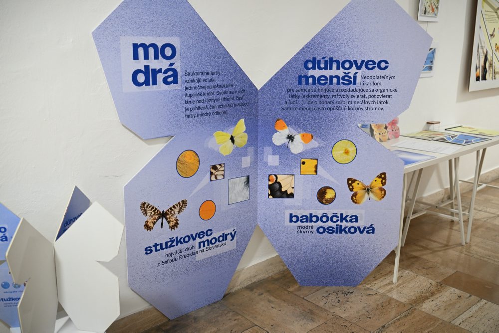Výstava Motýlie krídla v Západoslovenskom múzeu v Trnave 