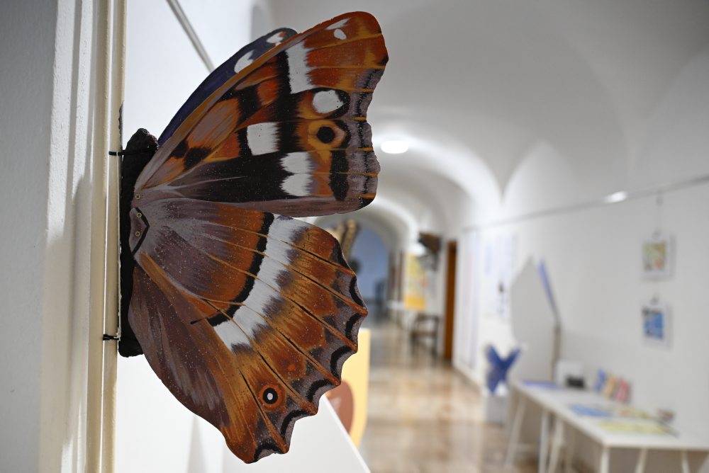 Výstava Motýlie krídla v Západoslovenskom múzeu v Trnave 