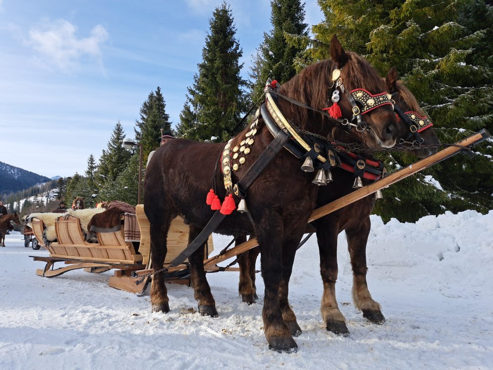 Turizmus: Správa TANAP-u sprístupní návštevníkom zvernicu v Tatranskej Javorine