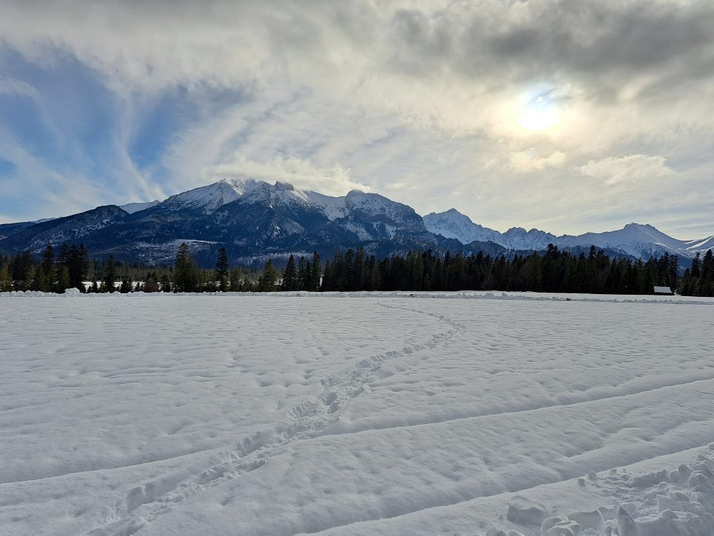Turizmus: Správa TANAP-u sprístupní návštevníkom zvernicu v Tatranskej Javorine