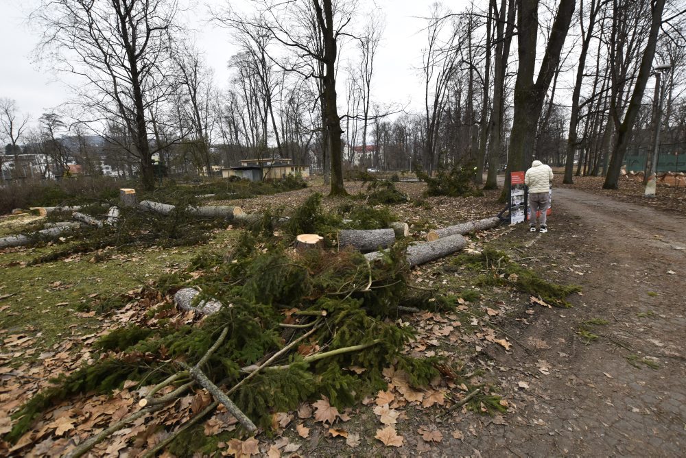 V mestskom parku na Tajovského ulici v Banskej Bystrici končia s výrubom stromov, nové chcú sadiť na jeseň