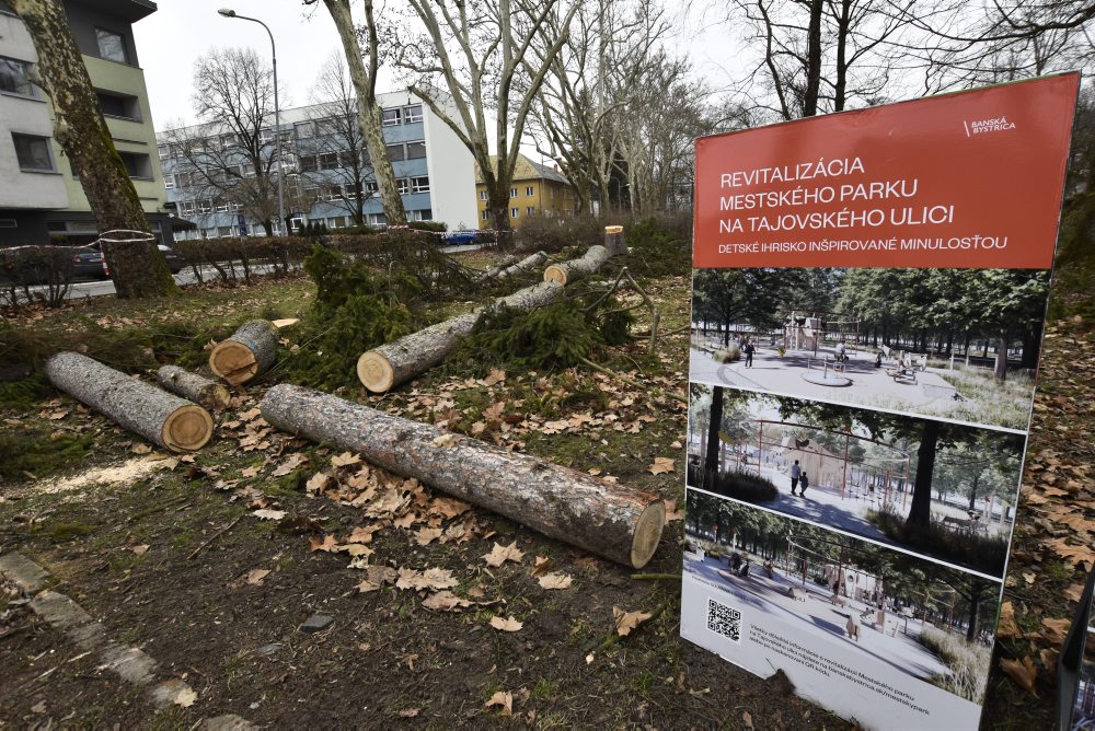 V mestskom parku na Tajovského ulici v Banskej Bystrici končia s výrubom stromov, nové chcú sadiť na jeseň