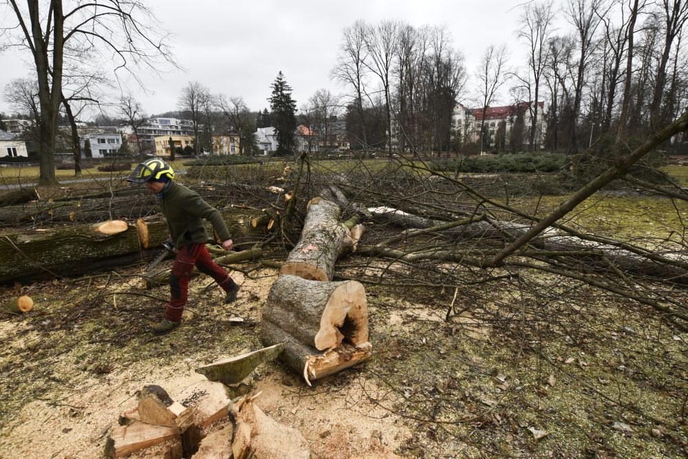 V mestskom parku na Tajovského ulici v Banskej Bystrici končia s výrubom stromov, nové chcú sadiť na jeseň