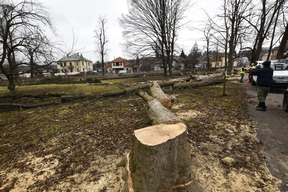 V mestskom parku na Tajovského ulici v Banskej Bystrici končia s výrubom stromov, nové chcú sadiť na jeseň