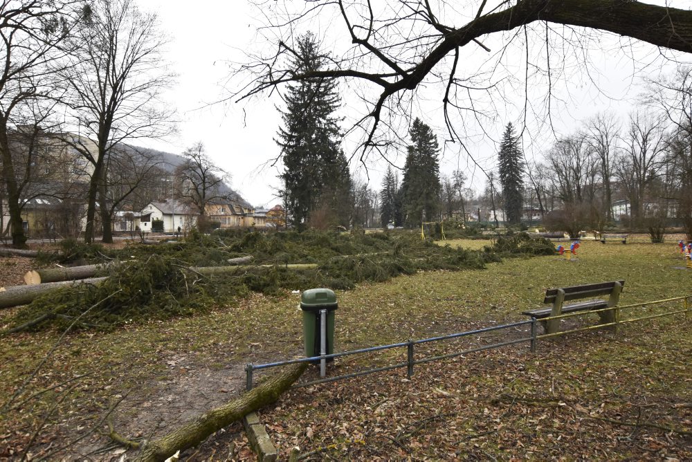 V mestskom parku na Tajovského ulici v Banskej Bystrici končia s výrubom stromov, nové chcú sadiť na jeseň