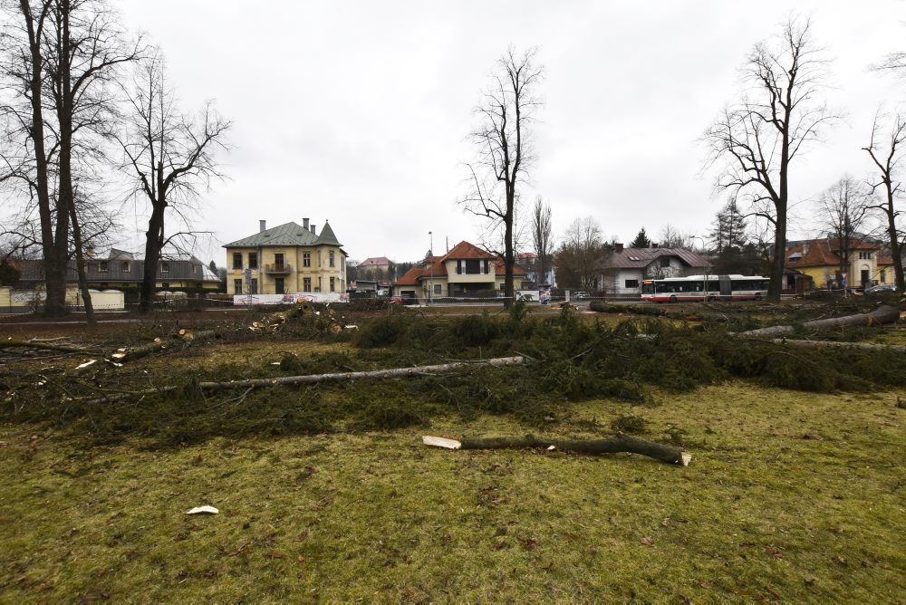 V mestskom parku na Tajovského ulici v Banskej Bystrici končia s výrubom stromov, nové chcú sadiť na jeseň