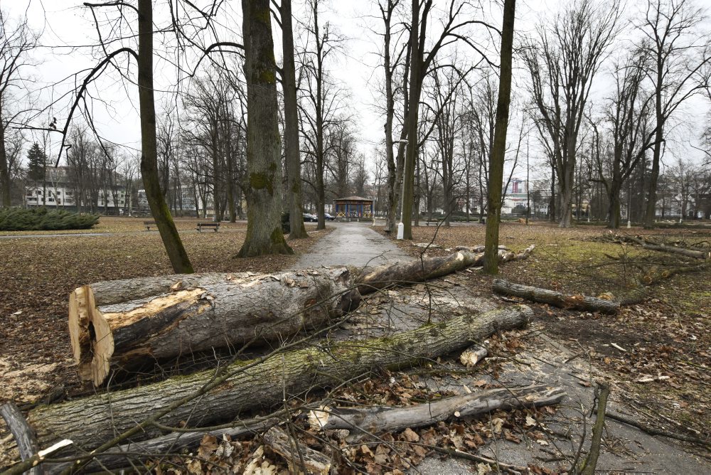 V mestskom parku na Tajovského ulici v Banskej Bystrici končia s výrubom stromov, nové chcú sadiť na jeseň