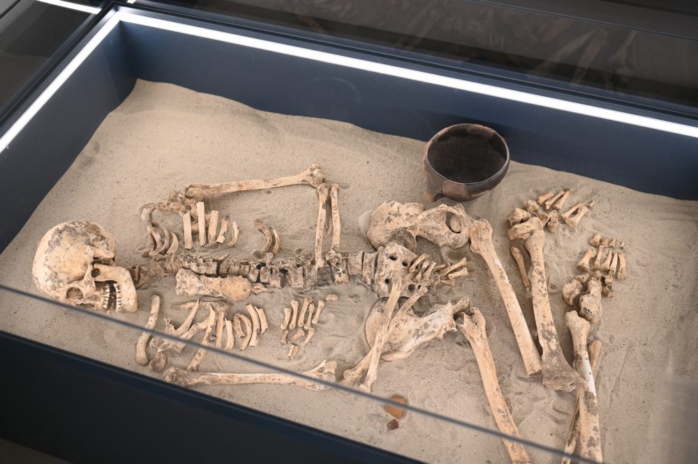 Archeologická expozícia Najstaršie dejiny v Západoslovenskom múzeu v Trnave 