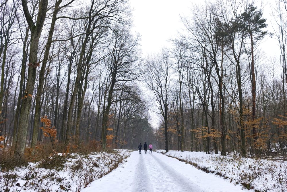 Turistika v obci Smolenice 