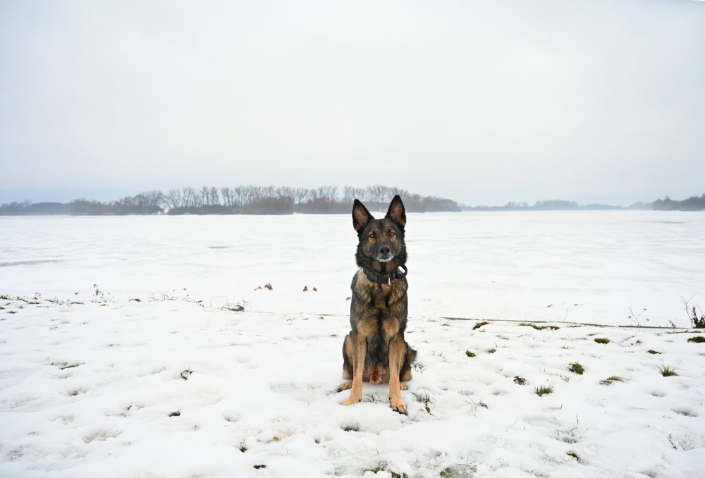 Zamrznutá vodná nádrž Boleráz