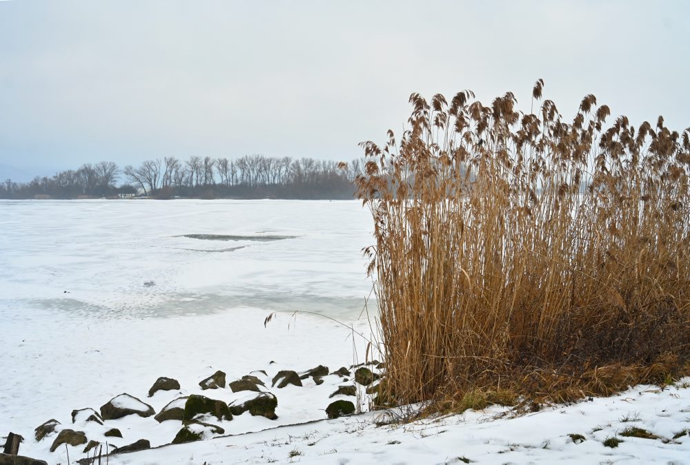 Zamrznutá vodná nádrž Boleráz