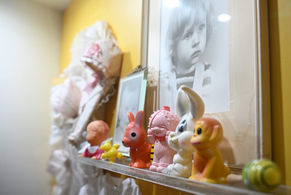 Výstava Detský svet 