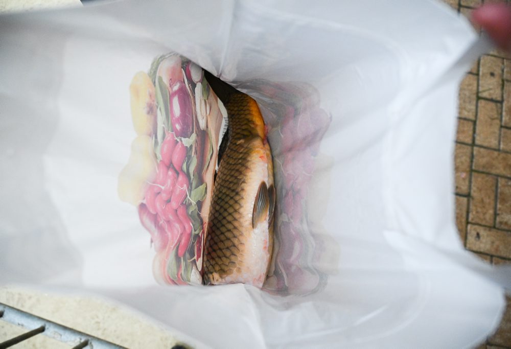 Predvianočný predaj živých rýb v Kunove