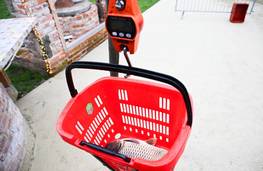 Predvianočný predaj živých rýb v Kunove