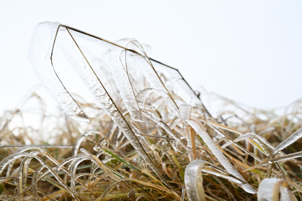 Mrazivý deň na kopaniciach