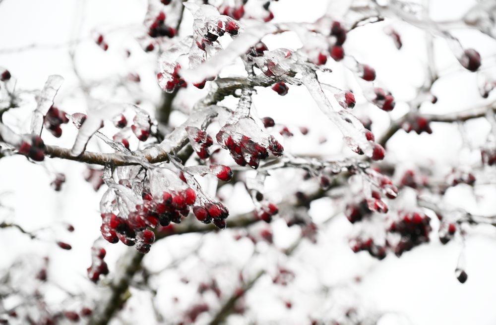 Mrazivý deň na kopaniciach