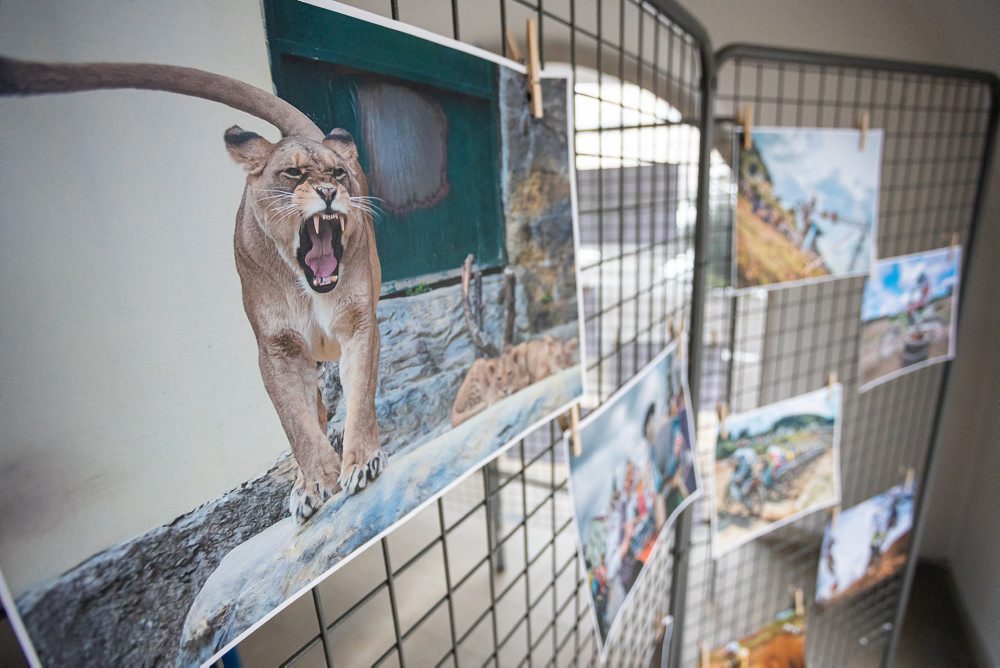 Výstava športových a kultúrno-spoločenských momentov v Rajci fotografa Petra Stehlíka 