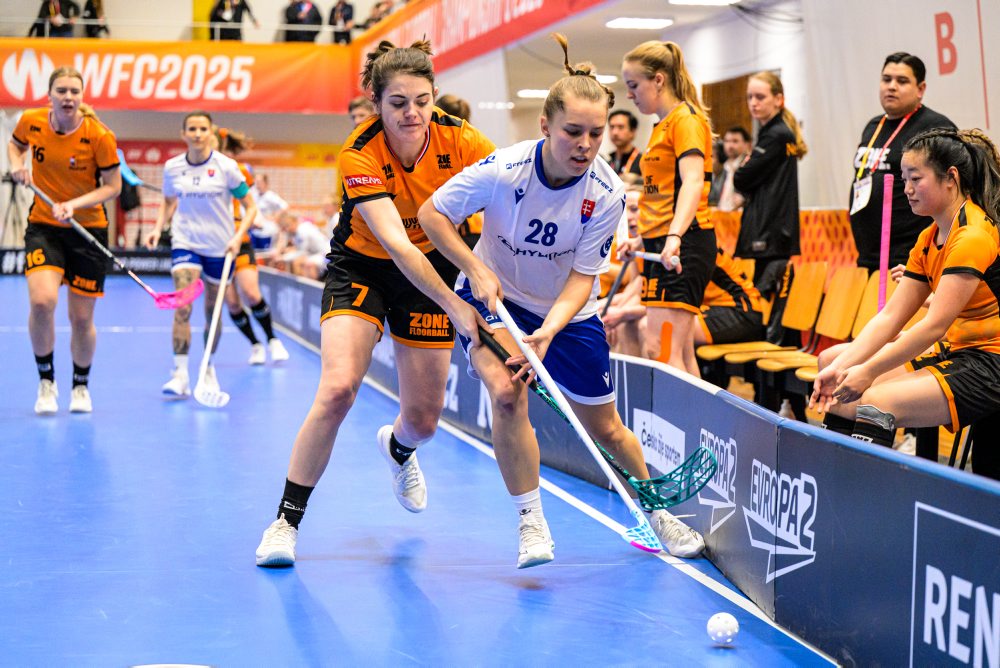 Slovensko - Holandsko