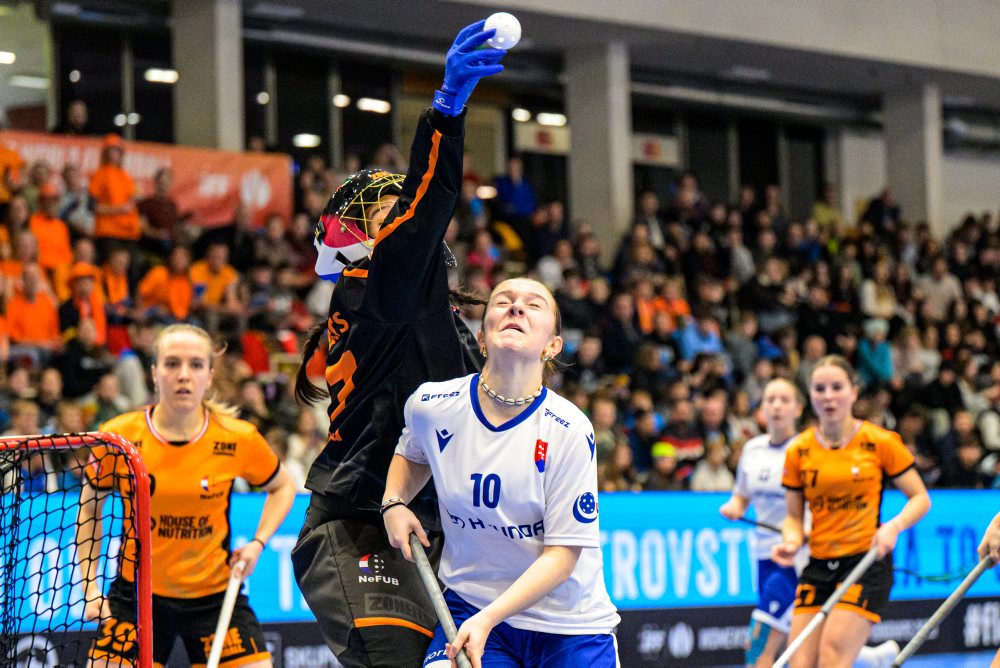 Slovensko - Holandsko