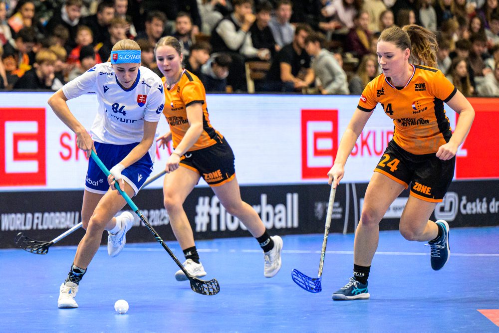 Slovensko - Holandsko