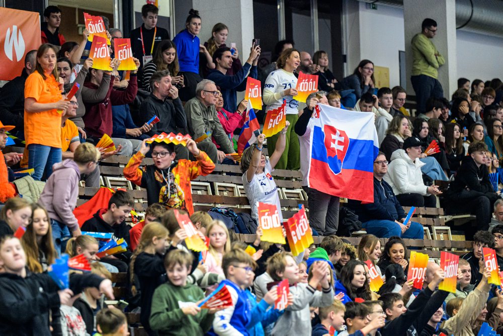 Slovensko - Holandsko