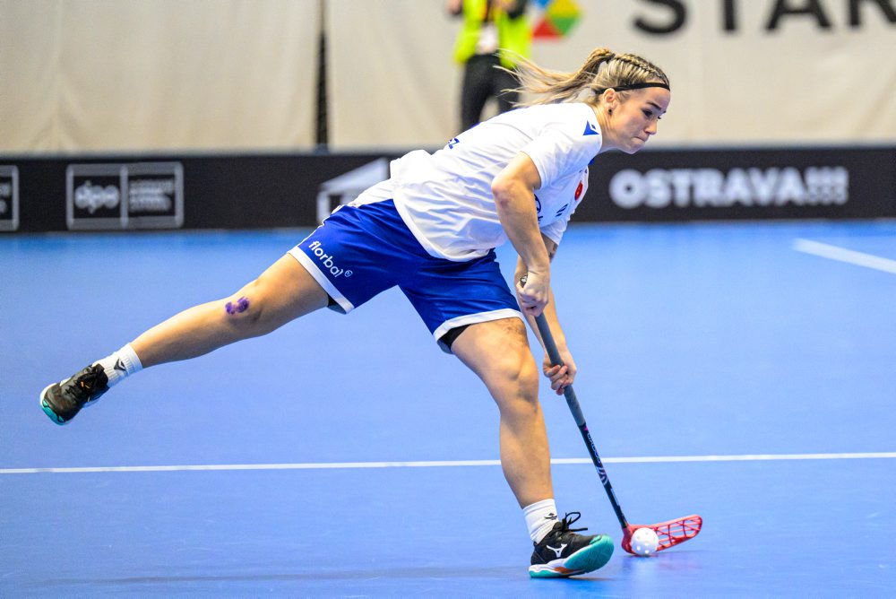 Slovensko - Holandsko