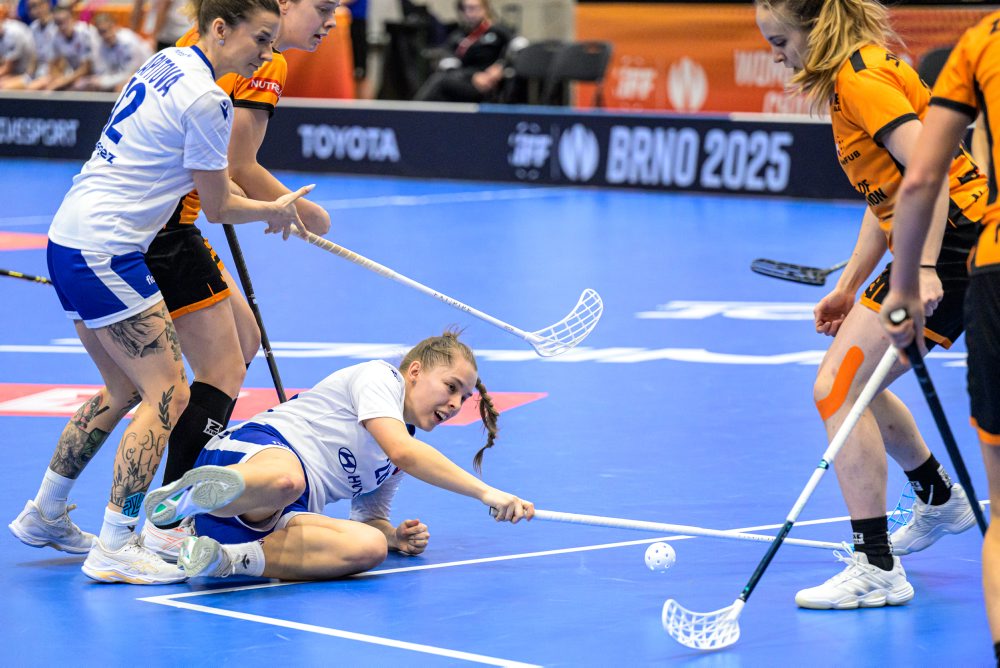 Slovensko - Holandsko