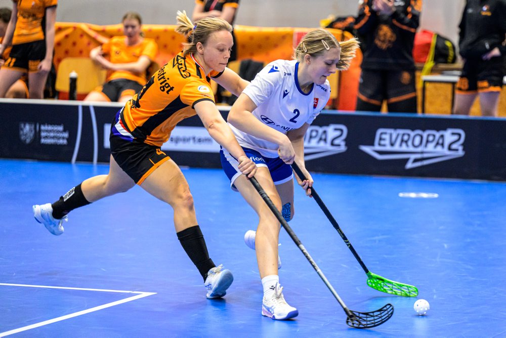 Slovensko - Holandsko