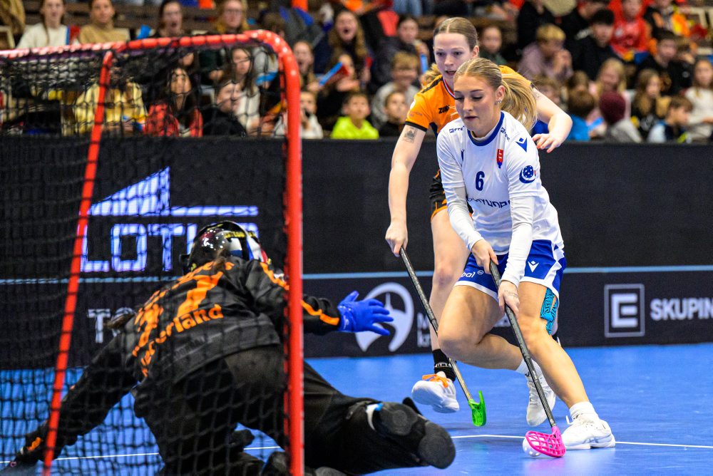 Slovensko - Holandsko