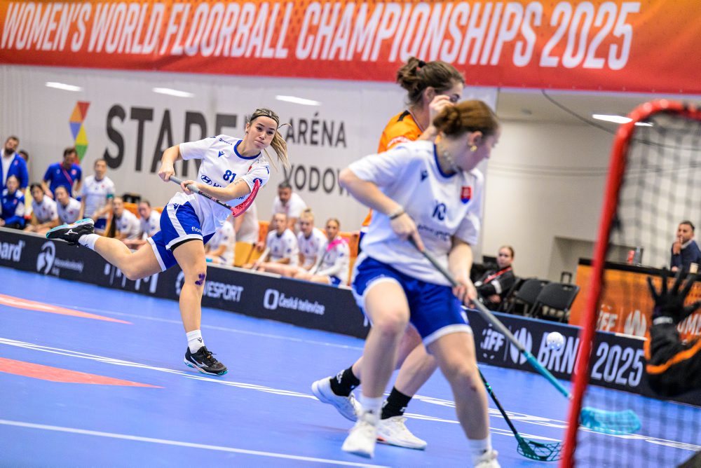 Slovensko - Holandsko