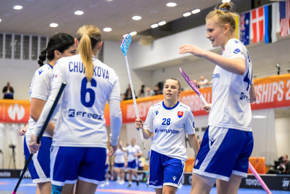 Slovensko - Holandsko