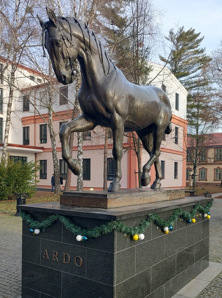 Košická UVLF má unikátny model skleneného koňa, jeho orgány svietia