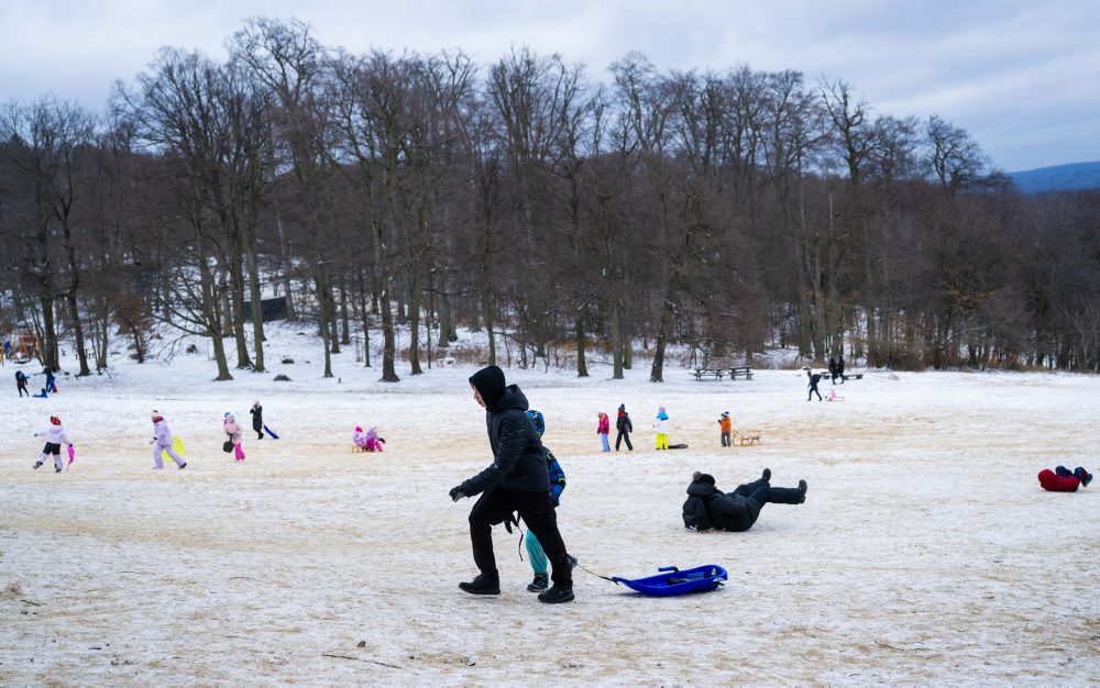 Sánkovanie na bratislavskej Kolibe 