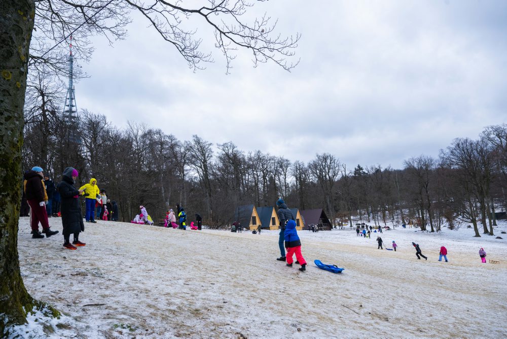 Sánkovanie na bratislavskej Kolibe 