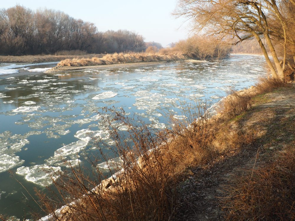 Ľadové kryhy na rieke Morava 