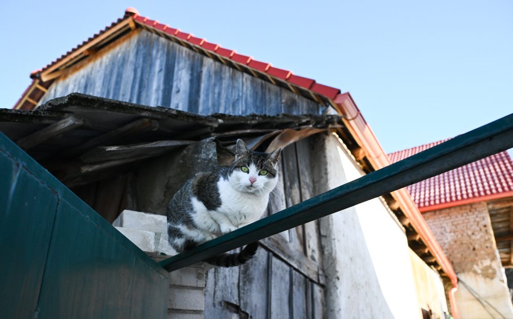 Mrazivý deň na lubinských kopaniciach