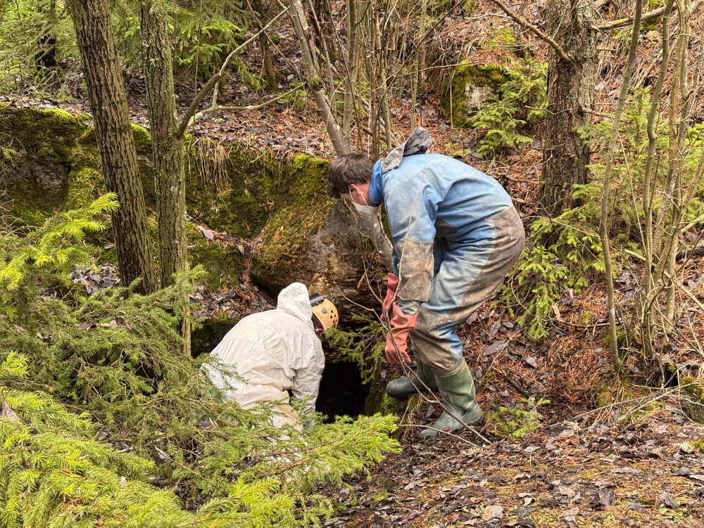 Znečistenie jaskýň kadávermi môže mať vplyv na kvalitu pitnej vody