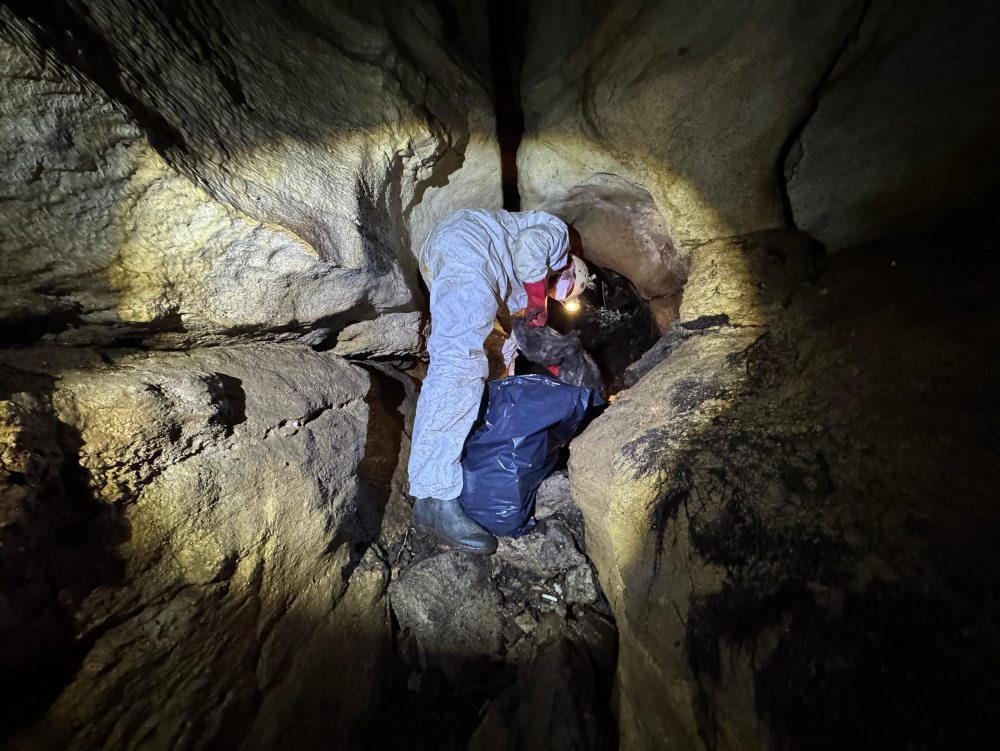 Znečistenie jaskýň kadávermi môže mať vplyv na kvalitu pitnej vody