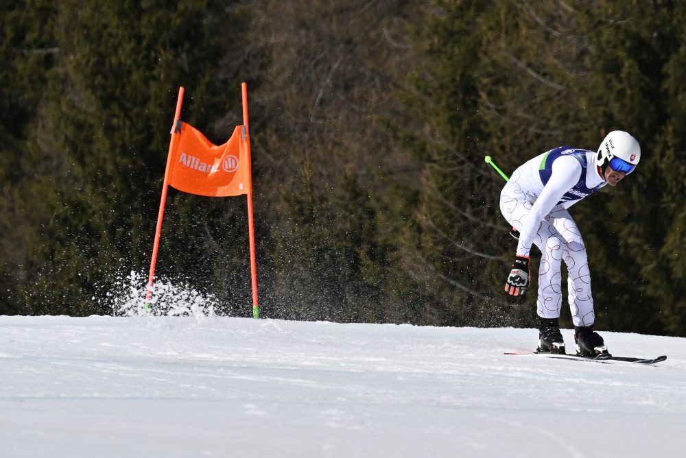 Zjazd mužov na zimných paralympijských hrách