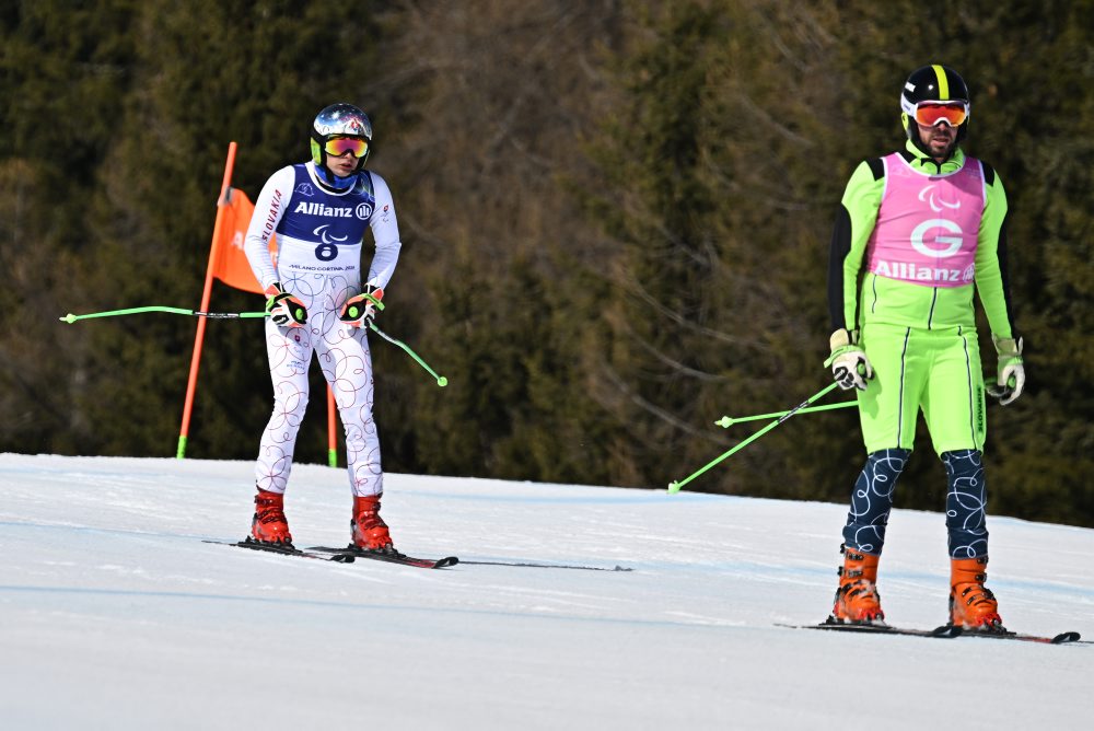 Zjazd mužov na zimných paralympijských hrách