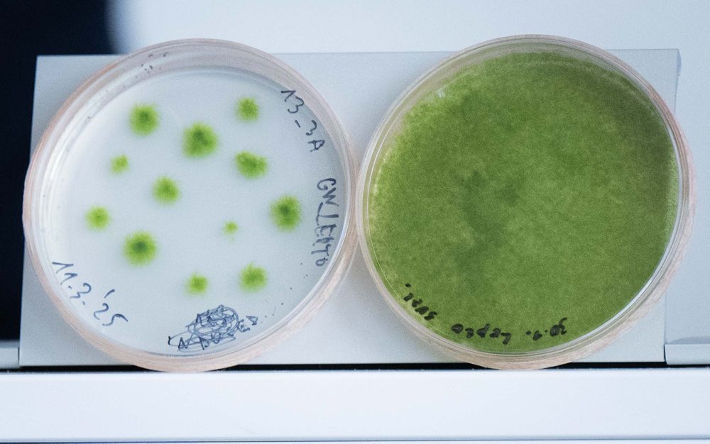  TK astrobiologičky a marsonautiky Michaely Musilovej