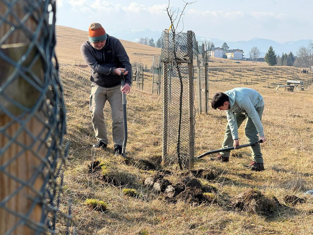 Dobrovoľníci26: Vďaka dobrovoľníkom na Liptove pribudli už tisíce stromov