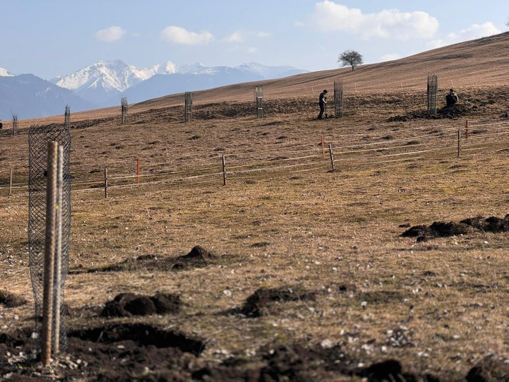 Dobrovoľníci26: Vďaka dobrovoľníkom na Liptove pribudli už tisíce stromov