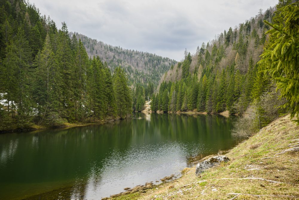 Príroda v Slovenskom raji
