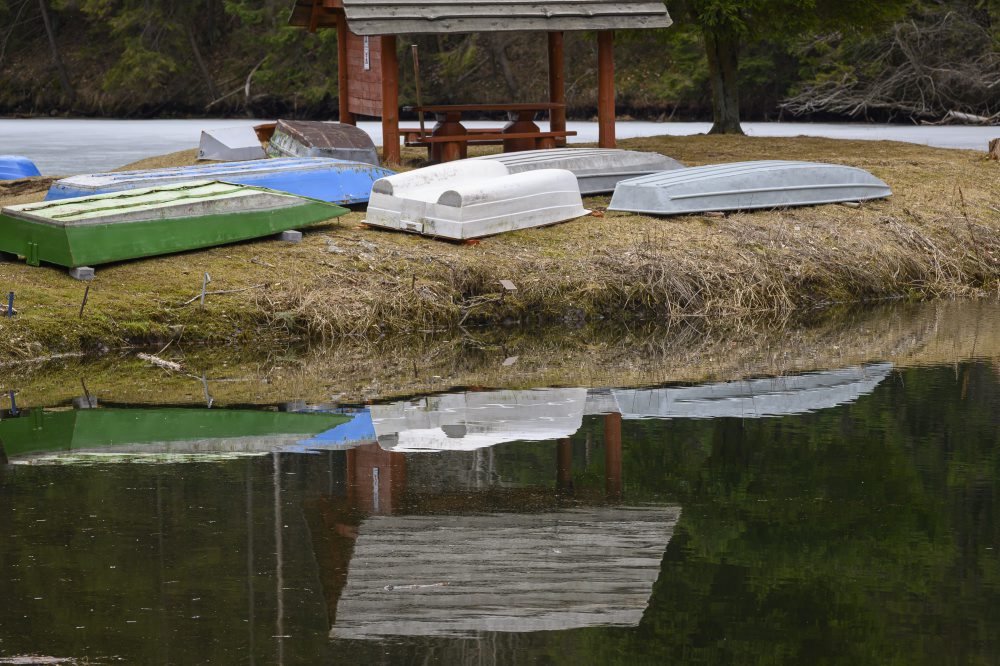 Príroda v Slovenskom raji